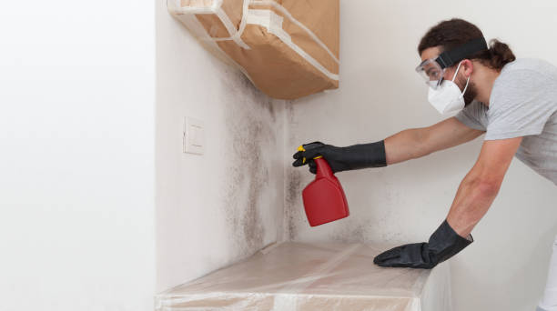 Professional Mold Testing technician working in Lawrence Township, NJ